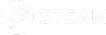 Steam